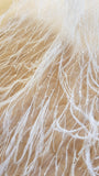 [DIVA] Feather Sequins Lace H3023C