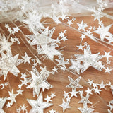 [STAR] 3D Star Embroidery Lace H5535CS